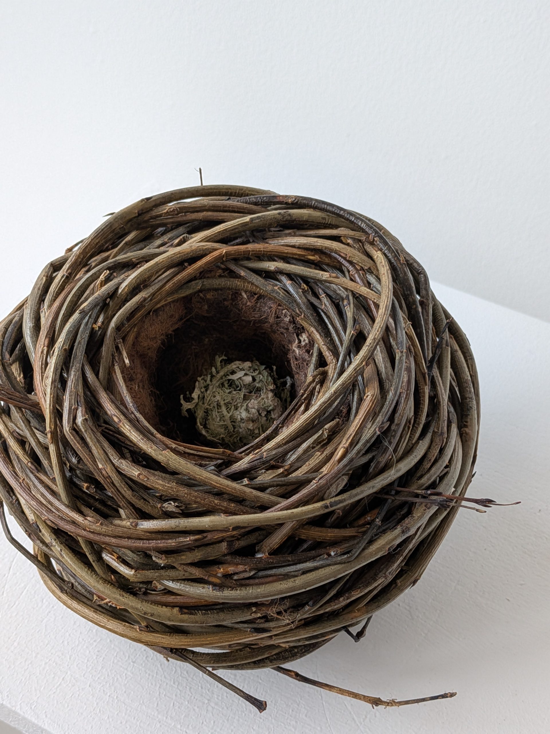 Nest - Image 2