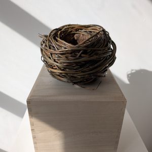 Nest