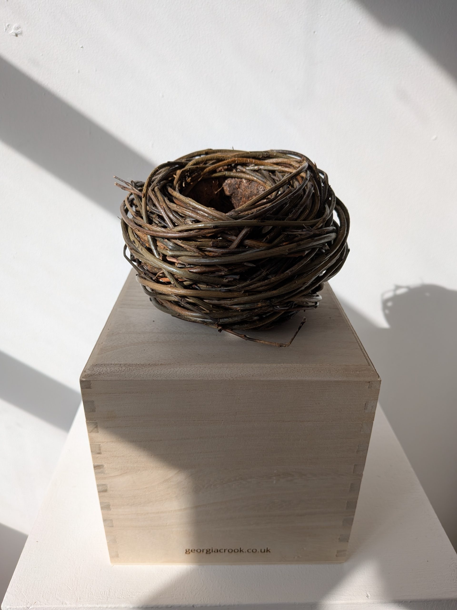 Nest