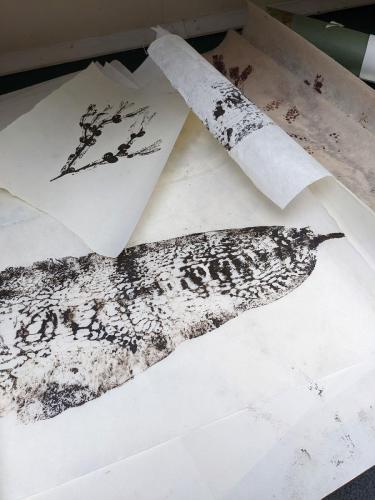 Direct Relief Seaweed Prints